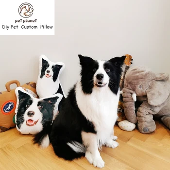 

Cartoon Pet Pillow Custom To Map Photos Custom Diy Custom Pet Pillow Custom Simulation 3D Shaped Pillow