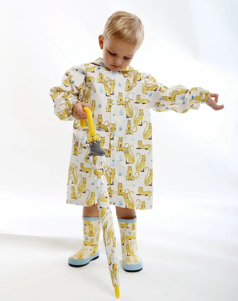 8871494175_1254826508