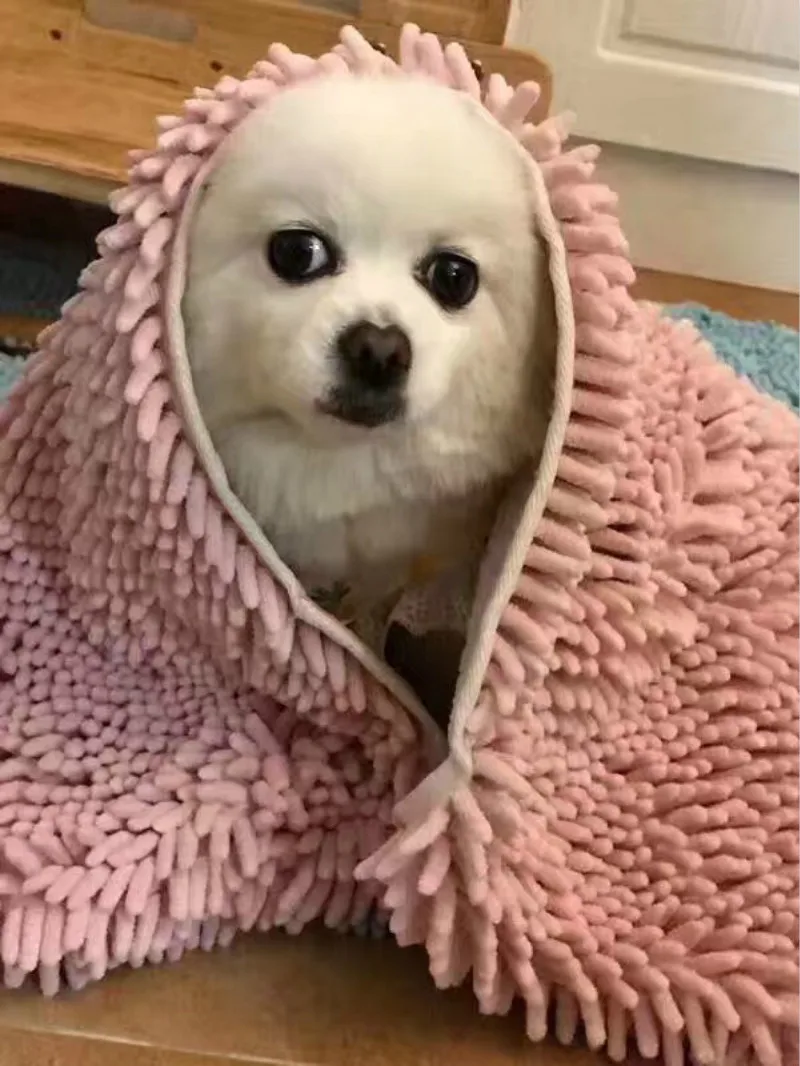 JIAMEN Pet впитывающее полотенце банные принадлежности для домашних животных кошка одеяло покрывало для собаки Механическая стирка