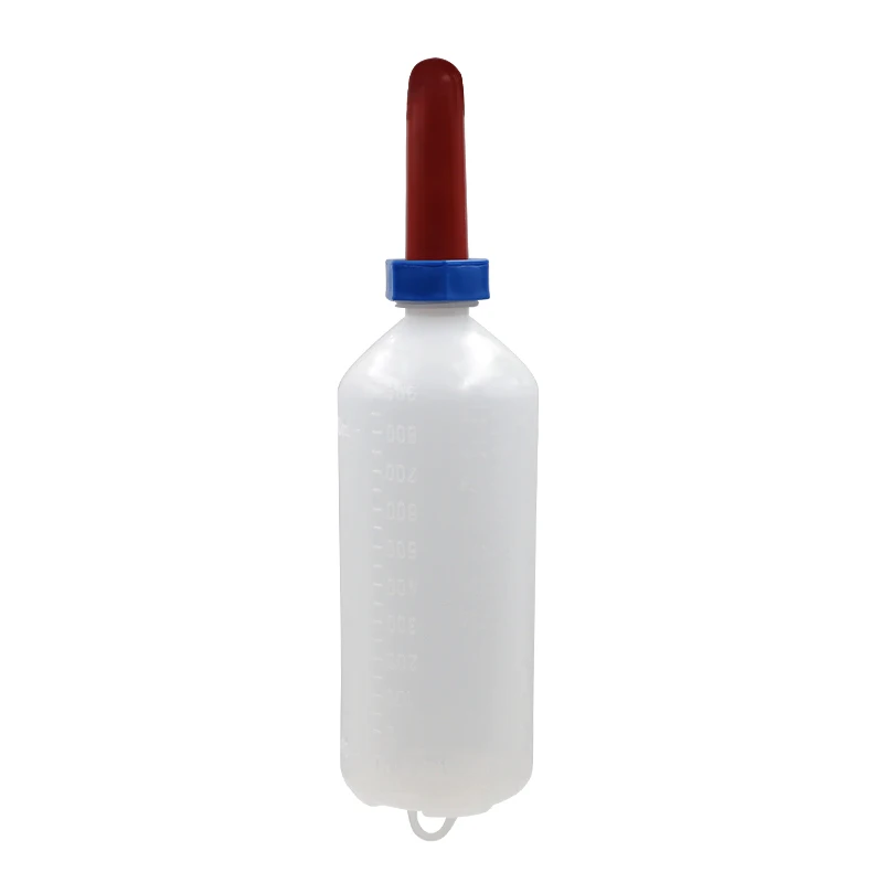   , ۾   , 1l, , ,   ǰ, 1 