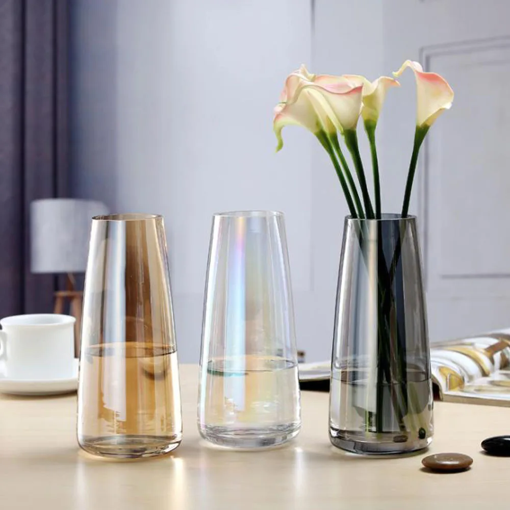 Nordic Transparent Glass Vases Living Room Table Decoration Water