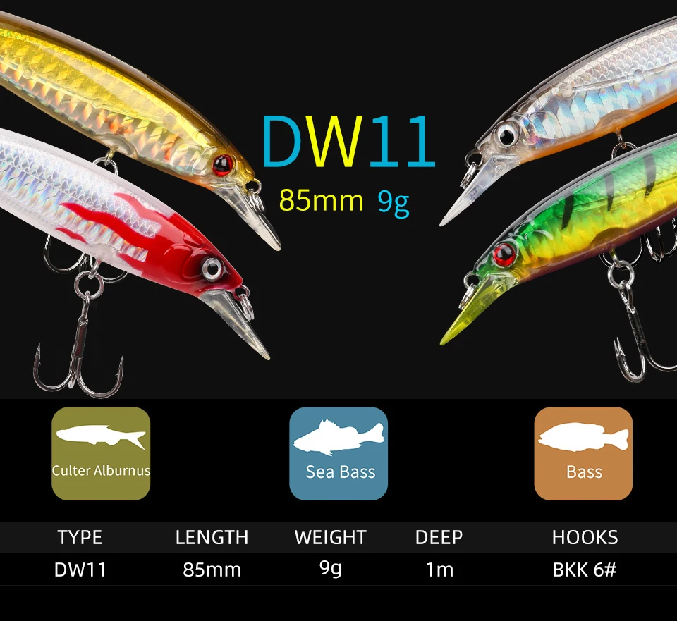 DW11_01