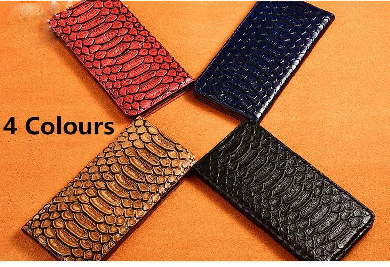 蟒蛇纹款_03_副本