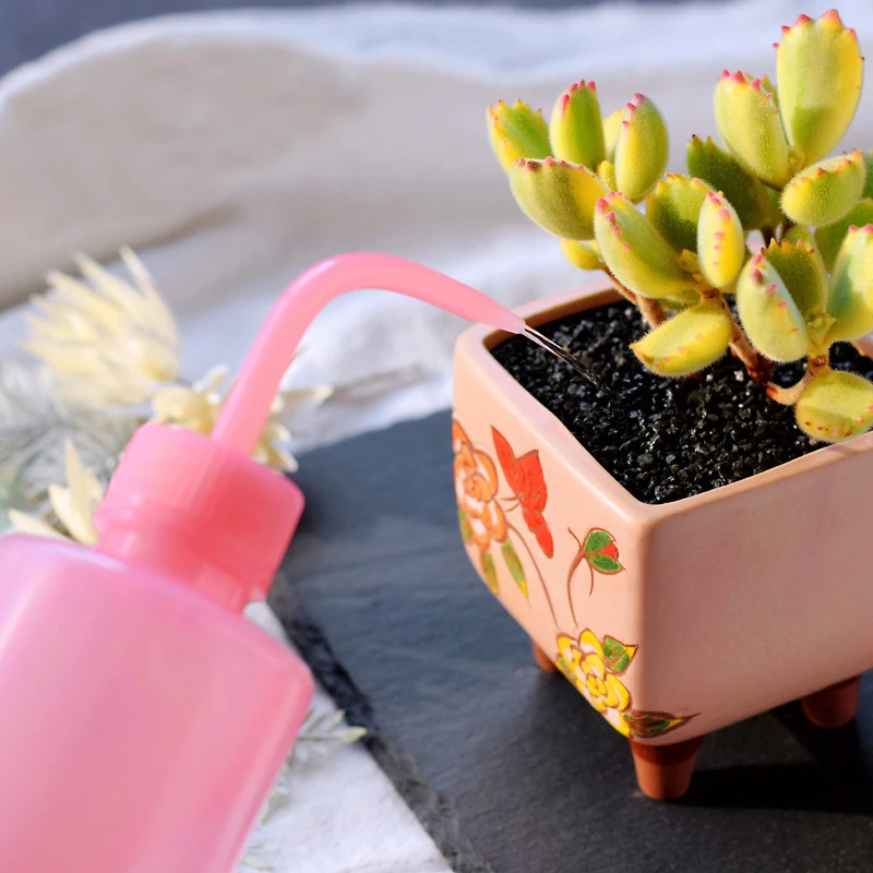 250/500ml Watering Pot Long Curved Transparent Water Bottle Liquid Container Spray Bottle Kettle 1 Pcs watering can