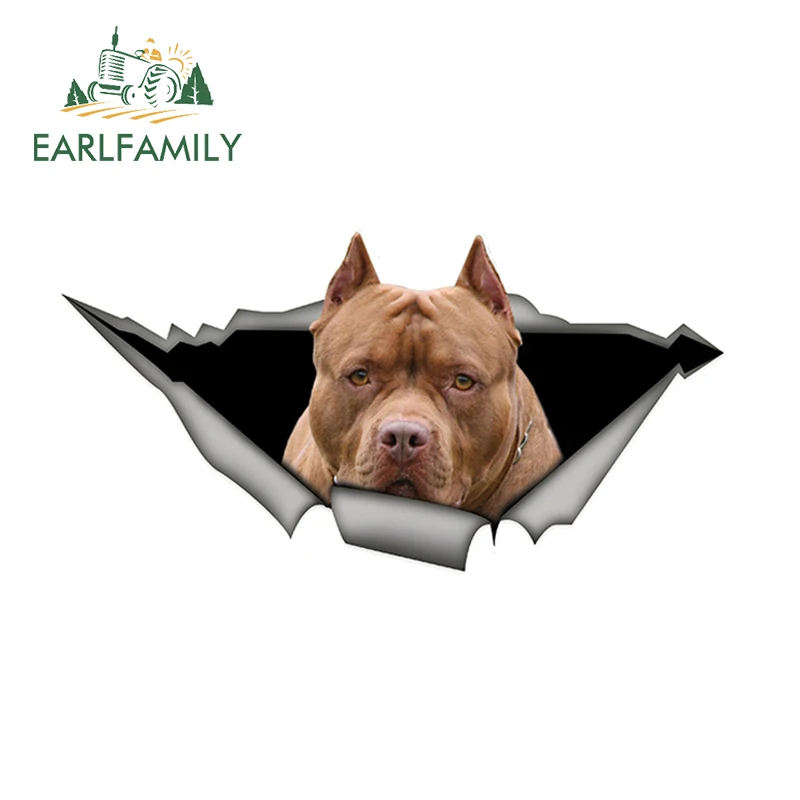 EARLFAMILY 15 см x 6 коричневый Американский защитный чехол для телефона автомобильные