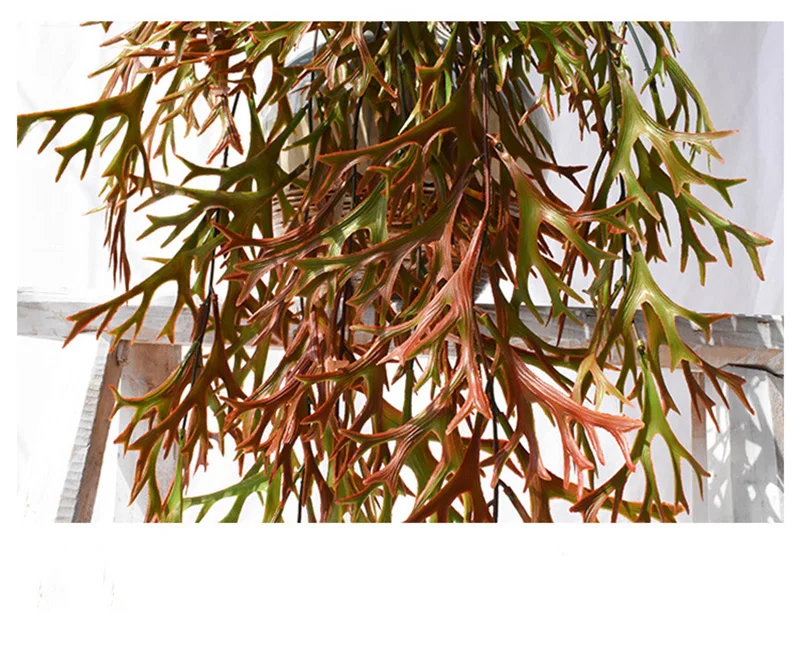 9589224380_919998717