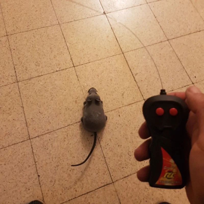Hot RC Funny Wireless Electronic Remote Control Mouse Rat Pet Toy for Kids Gifts toy Remote Control Toys Mouse Drop Shipping 6