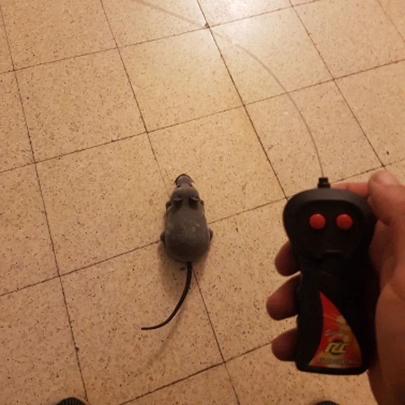 Hot RC Funny Wireless Electronic Remote Control Mouse Rat Pet Toy for Kids Gifts toy Remote Control Toys Mouse Drop Shipping Hot RC Funny Wireless Electronic Remote Control Mouse Rat Pet Toy for Kids Gifts toy Remote Control Toys Mouse Drop Shipping