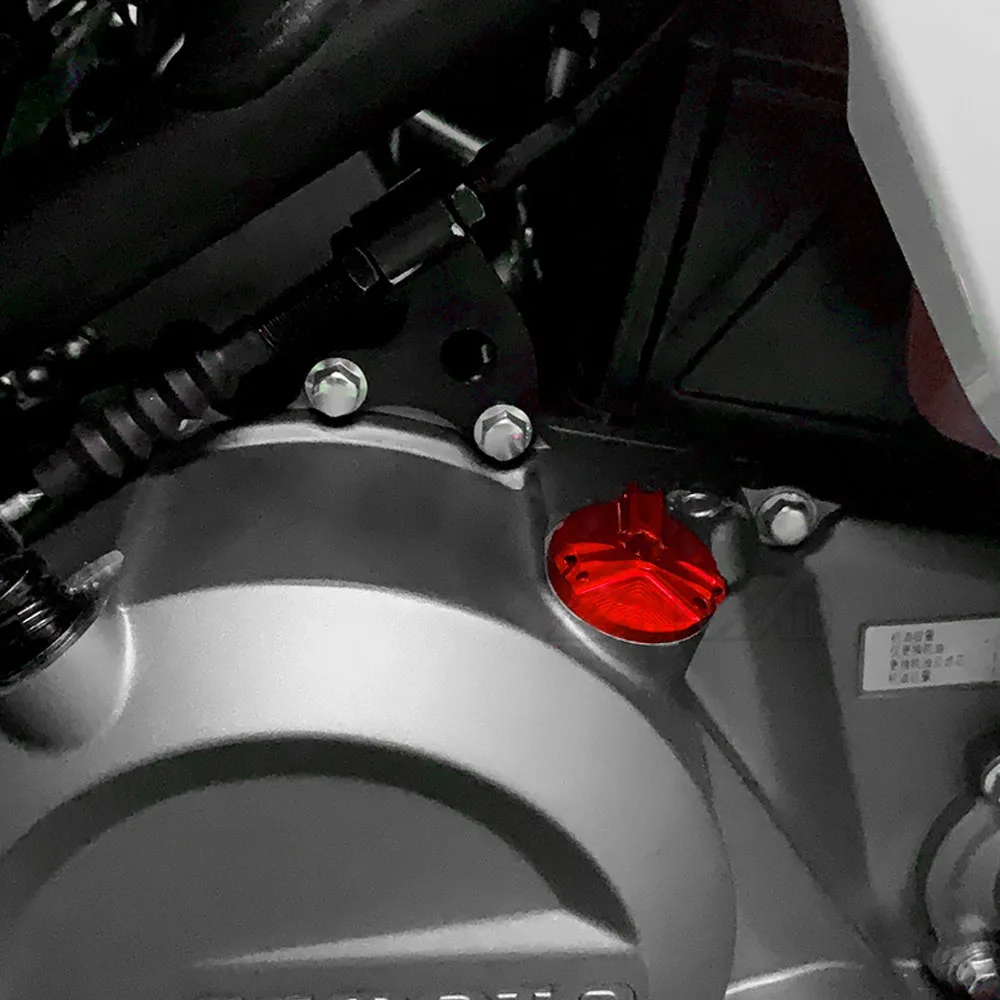 ducati-monster-engine-plug-(6)