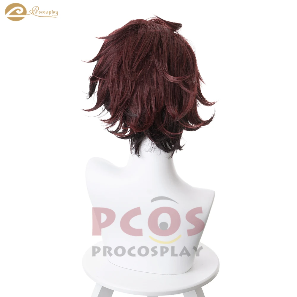 Procosplay Demon Slayer: Kimetsu no Yaiba Ghost killer swordman Kamado Tanjirou cosplay secked-back omega wig mp004927