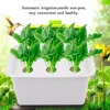 Garden Supplies