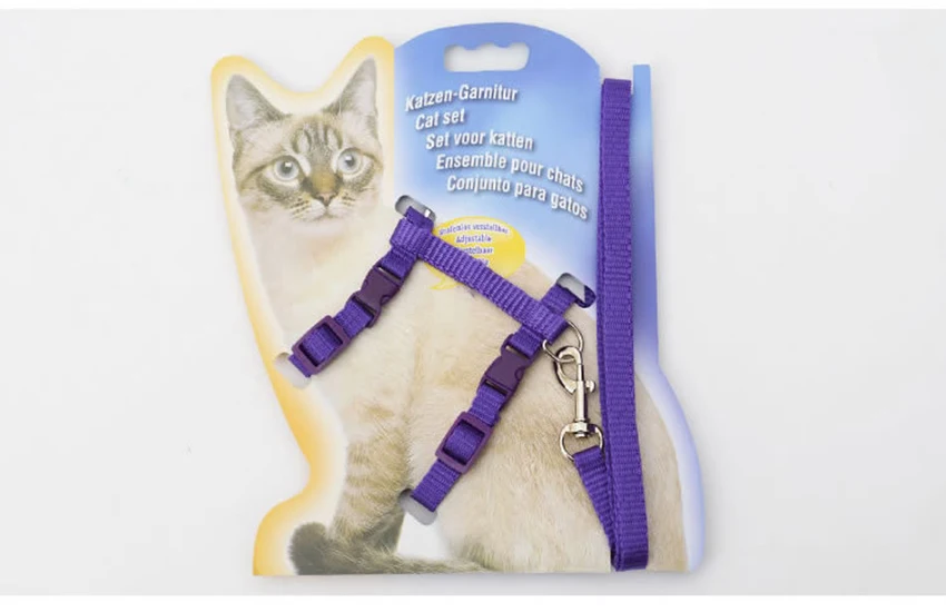 3818354621_1624998023