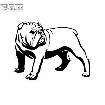 

Volkrays Intereting Car Sticker Olde English Bulldog Bully Dog Accessories Reflective Vinyl Decal Black/Silver,11cm*14cm
