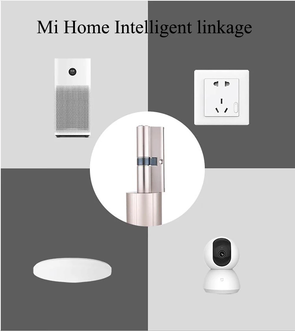 Segurança e Proteção