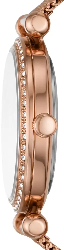 Women's wrist watches fossil bq3648 