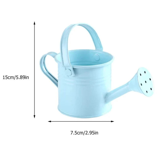 Tin Watering Can Plant Spray Wrought Iron Portable Gardening Tools Metal Sprinkled With Handle Shower for Watering & Irrigation  2