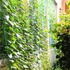 Garden Supplies