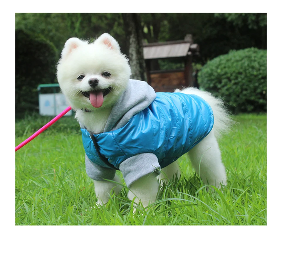 亮光小棉袄详情_11