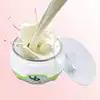 2 Types Yoghourt Machine 1L Automatic Stainless Steel Liner Yogurt Maker Machine Home DIY Yoghourt Container 4