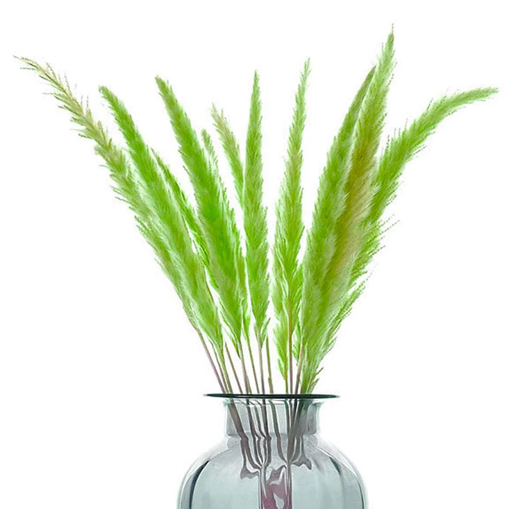 green 15 шт. сушеные небольшие пампасы трава Phragmites украшения для домашнего магазина свадьбы TP899 - Цвет: green