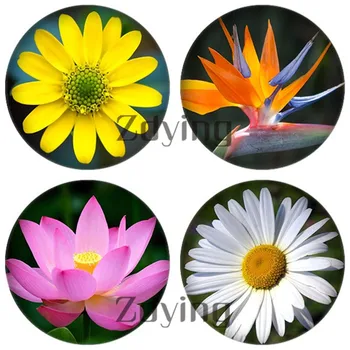 

ZDYING 5pcs Beautiful Flower Pattern Round Glass Cabochons Domed Jewelry Making Accessories Supplies For Earrings Brooch FP048