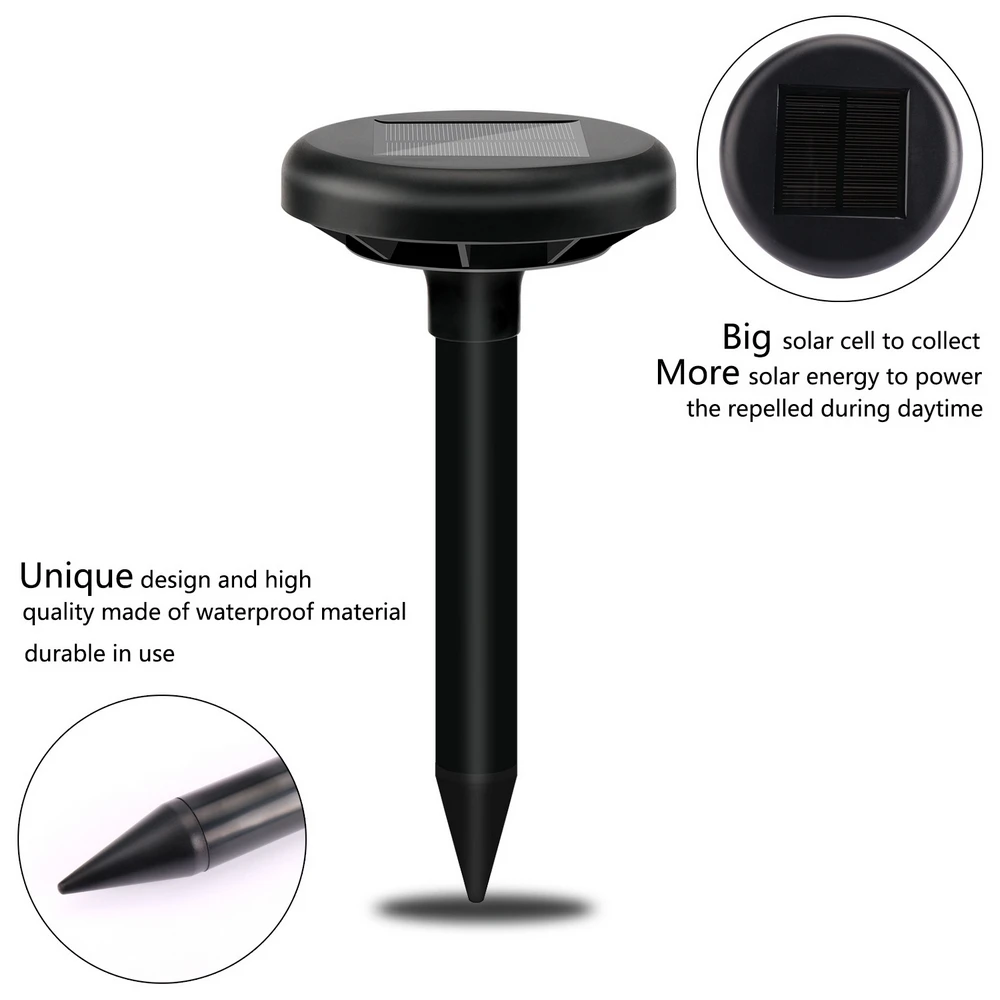 10930811151_39677601