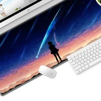 Computer Peripherals