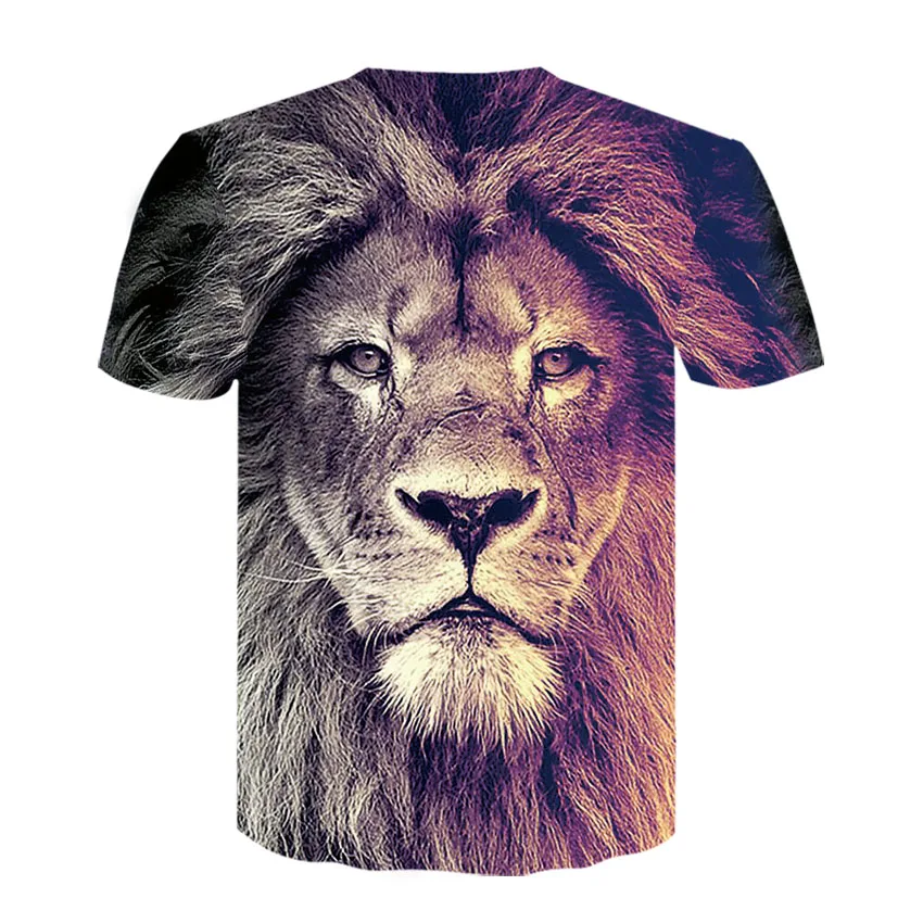 D-310-T恤短袖模板-后