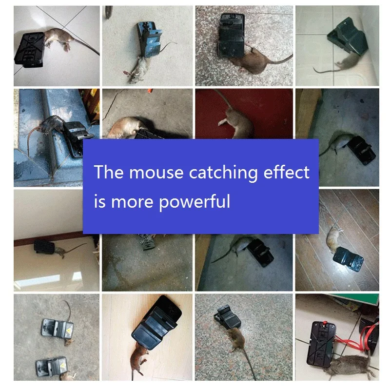 1-8957514337_805177399