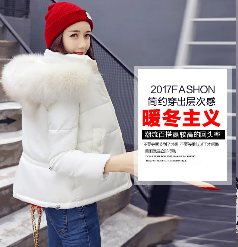 Осень ; стиль; модная теплая хлопковая стеганая одежда; AliExpress EBay