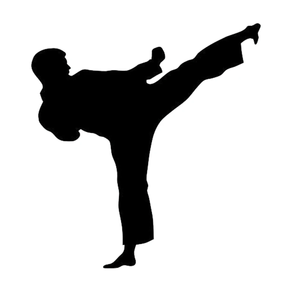 Каратэ спортивные шаолиньские боевые искусства забавная наклейка стиль