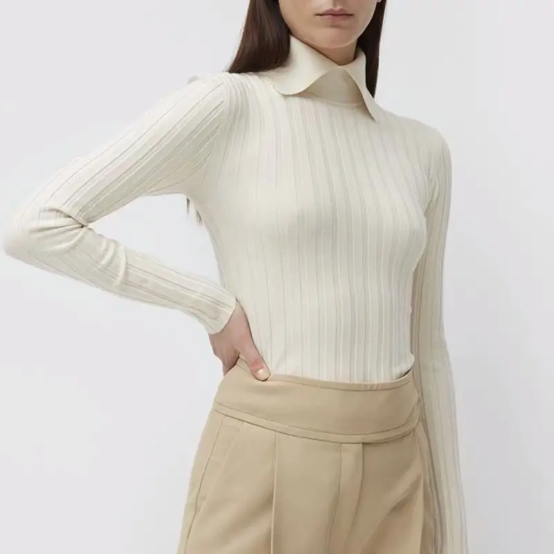 Women Sweater Slim fit Stand collar 