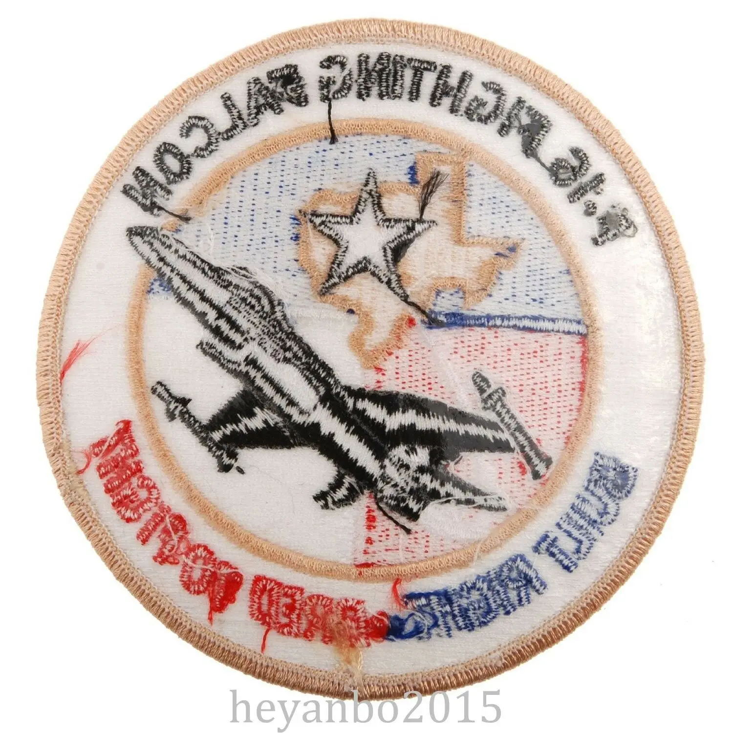 Tomwang2012.  ̱ ̱ USAF F-16 Fighting Falcon    ġ White