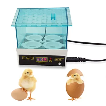 

4Eggs Household Egg Incubator Automatic Temperature Control Super Mini Hatchery Machine for Chicken Duck Bird Quail Egg