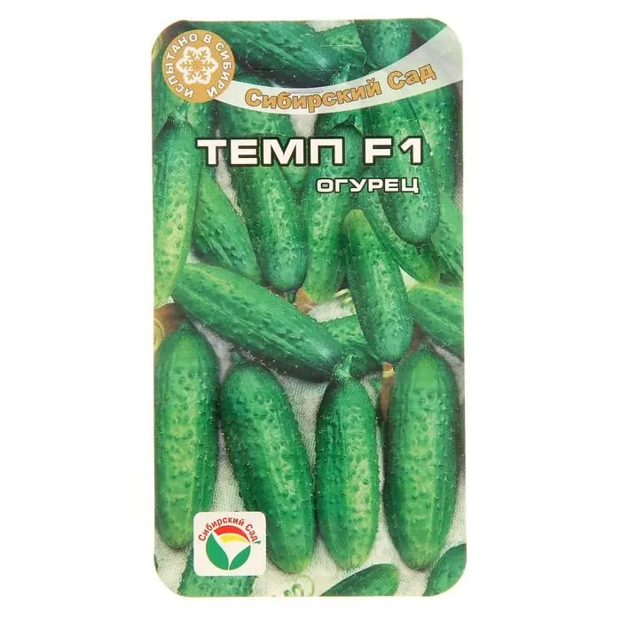 Огурец темп f1 семко. Огурец партнер f1. Огурец партенокарпический темп f1 партнер. Огурец темп f1. Огурцы сорт темп.