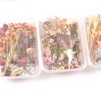 

1 Box Random Colorful Real Dried Flower Dry Plants For Making Craft Resin Jewelry DIY Mini Accessories Home Decoration c2417