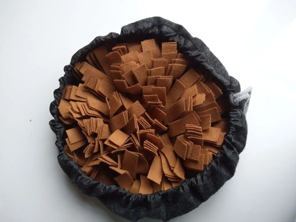 11759231739_811204053