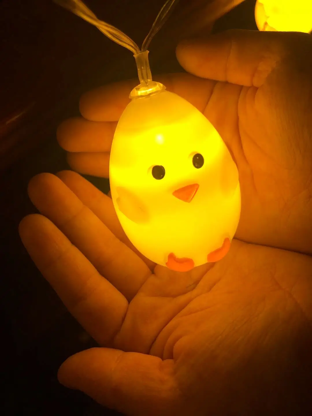 

Chick Light String Christmas Tree Ornaments Eggshell Chicken Battery Light String Xmas Decoration Lights