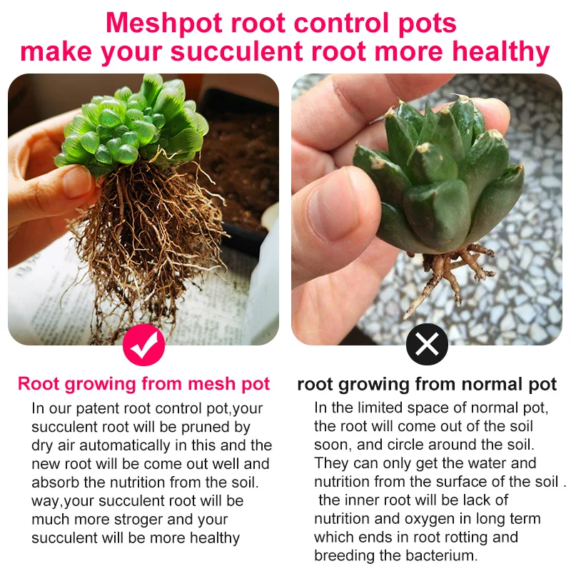 MESHPOT пластиковый горшок для суккулента высокого Saist кактус плантатор бонсай сад