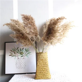 

Wedding use pampas flower bunch beautiful reed christmas decor pampas grass flower bunch natural dried reed plants 20Pcs