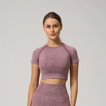 Women Seamless Yoga Shirt Fitness Short Sleeve Crop sports Top Workout Tops Gym Clothes For
