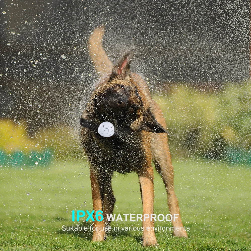 Localizador GPS inteligente para mascotas, Collar resistente al agua con carga USB