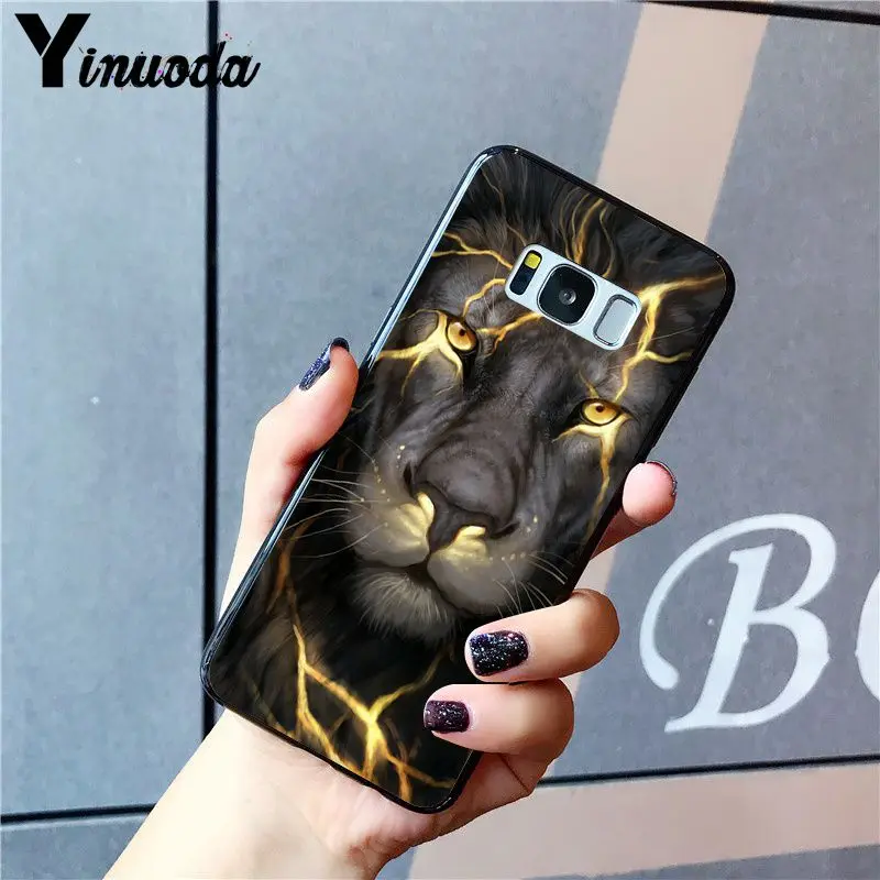 Animal Lion Wolf Owl Elephant Lion Tiger