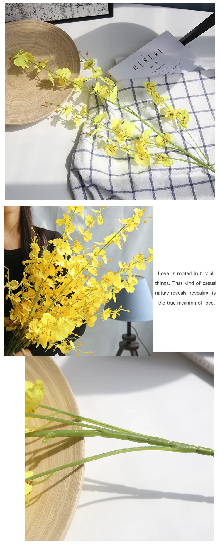 8694074391_1885843273