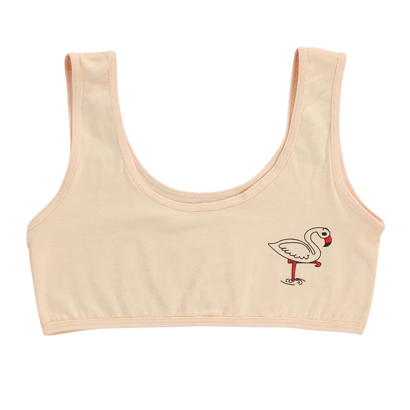 11834582203_556967668