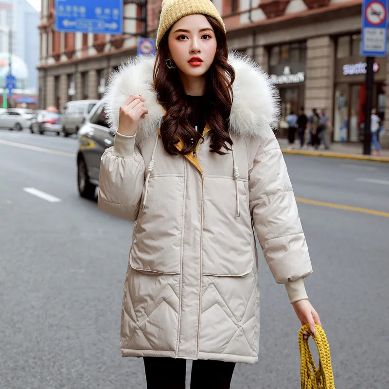Photo Shoot 19 New Style down Feather Women's Korean-style Dongdaemun Loose-Fit BF Students Cotton-padded Clothes INS Hong Kong