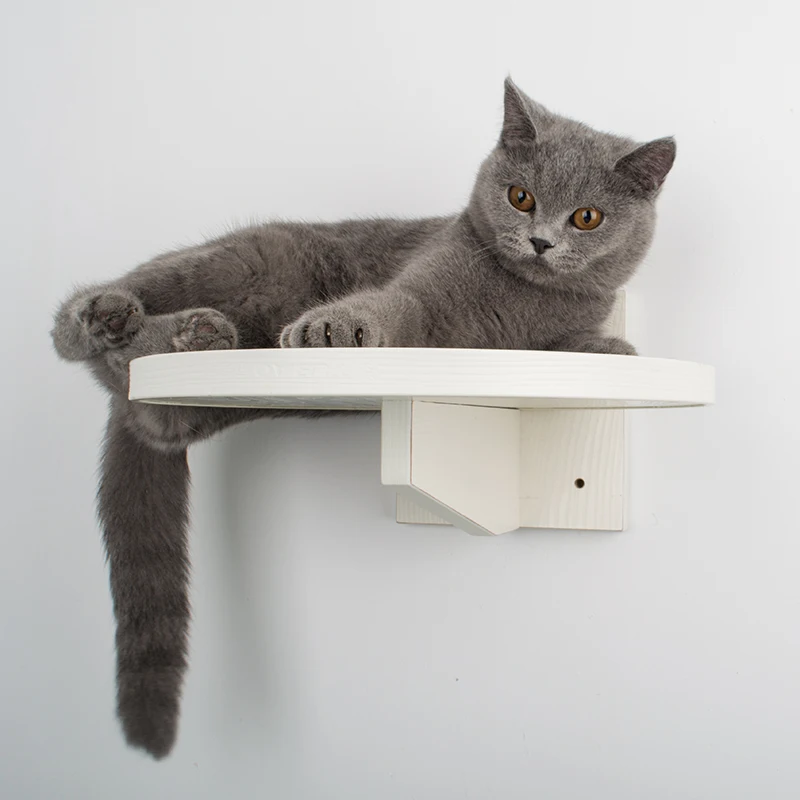 Игрушка для кошек круглая Весенняя подставка платформа кошачий помет альпинистская мебельная фурнитура настенные игрушки