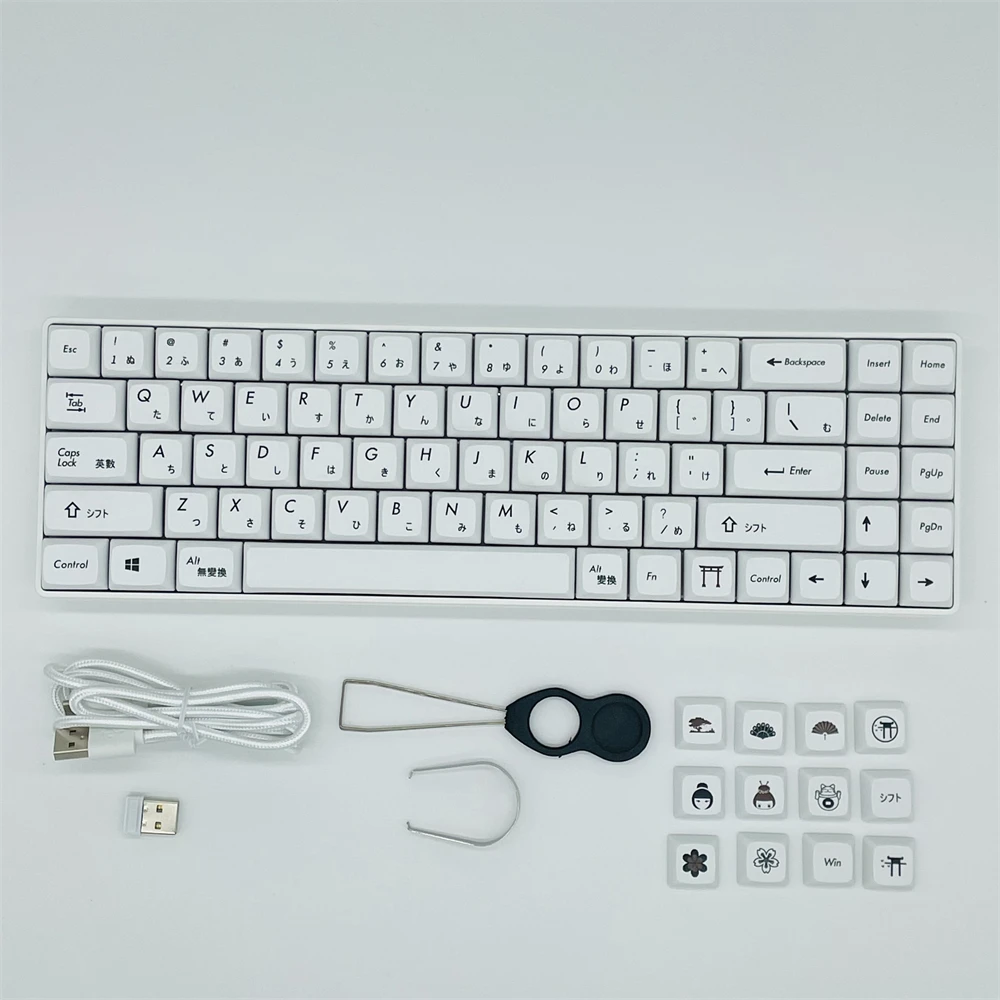 Sky 72 Hot Swap Tastiera Meccanica Pbt Keycaps 2.4G Bluetooth Tipo-C Cablato Rgb 3 Pin Gateron Switch Tastiera Mac/ Win