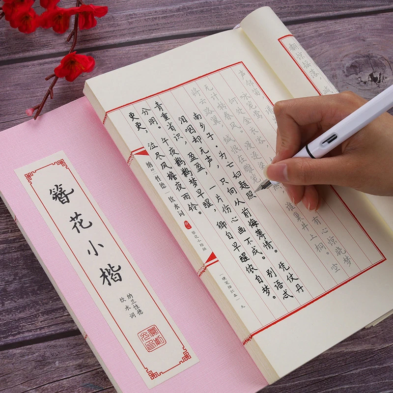 Books Chinese Kanji Calligraphy Reusable Hard Pen Practice Erasable Learn Hanzi Copybook Adults Art Writing Notebook Livros Book