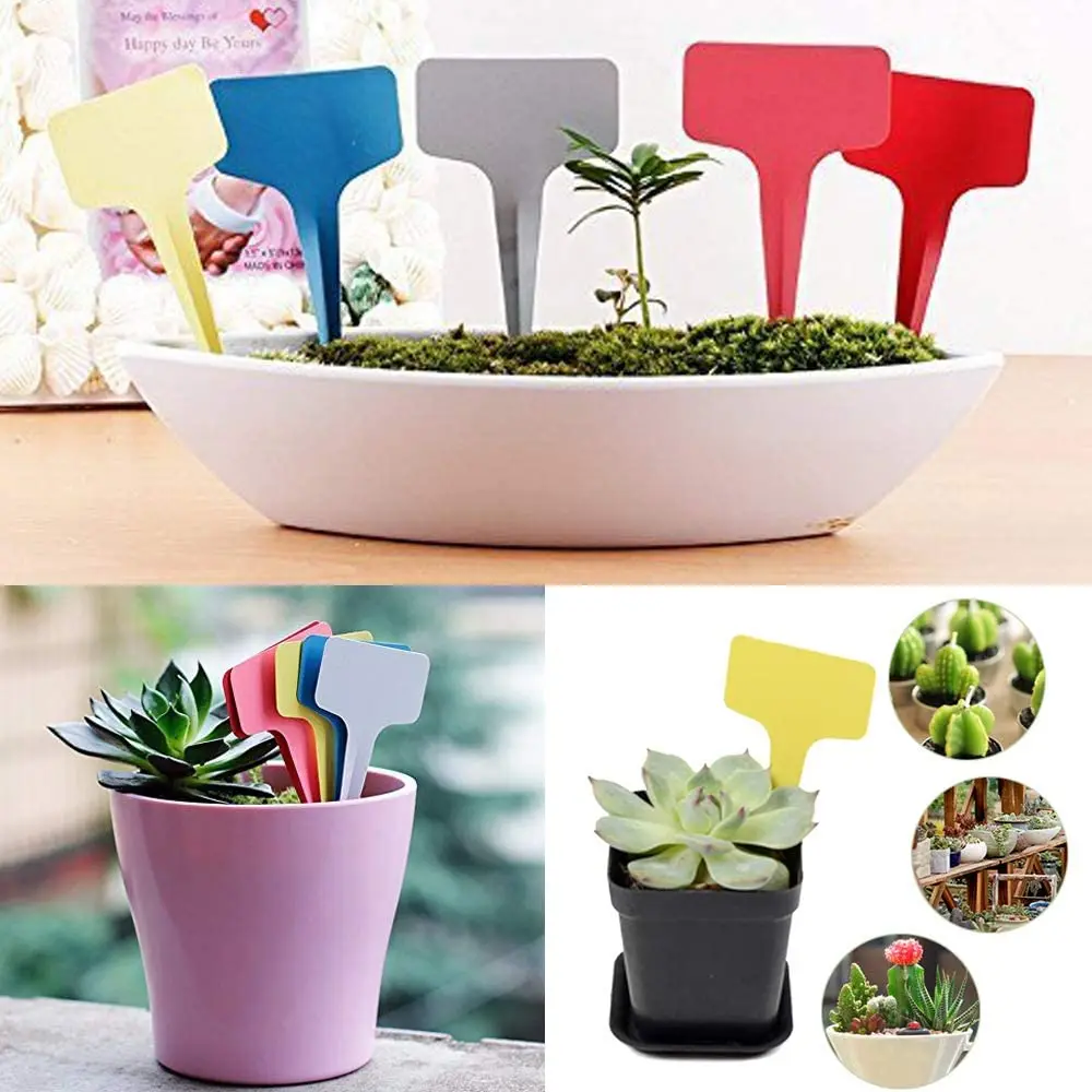 61XJSipJDrL._AC_SL1000_